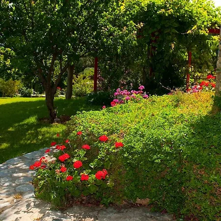 Elise Hébergement de vacances