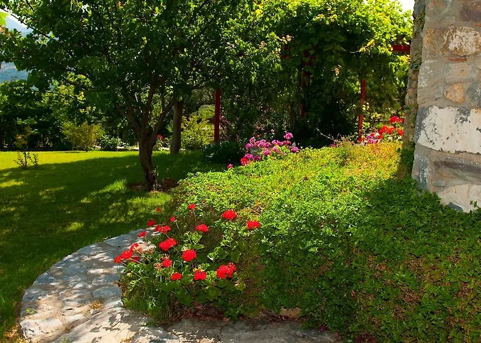 Elise Casa de Férias