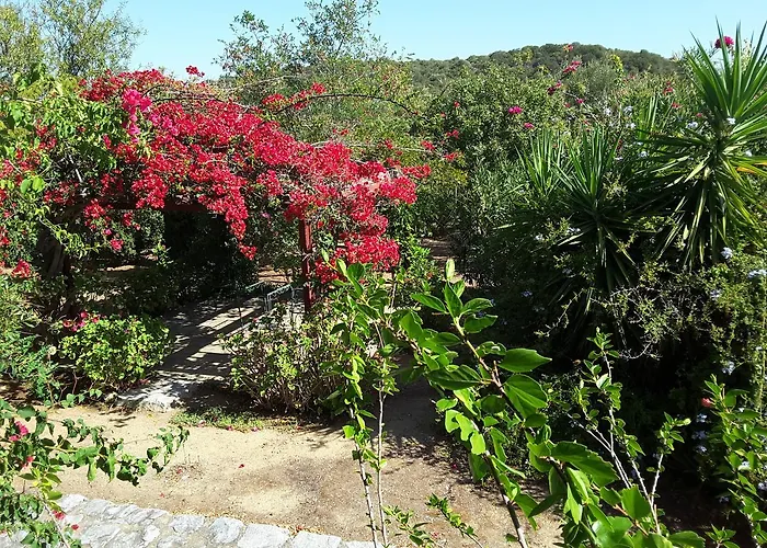 Elise Сasa de vacaciones *